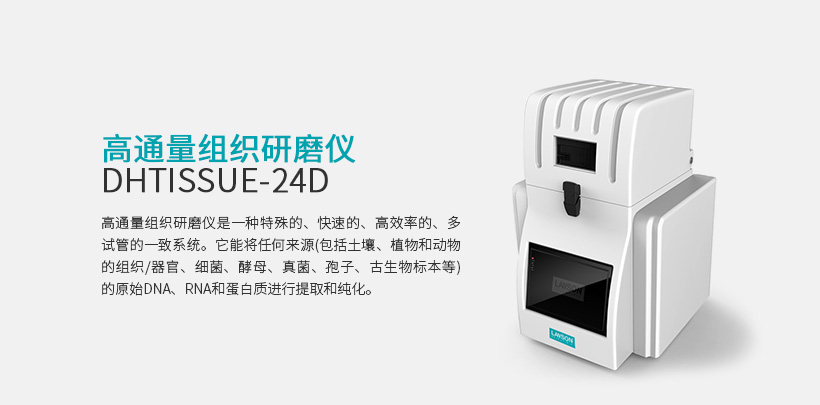 高通量组织研磨仪 DHTISSUE-24D