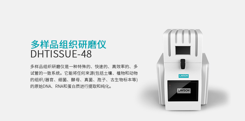 多样品组织研磨仪 DHTISSUE-48